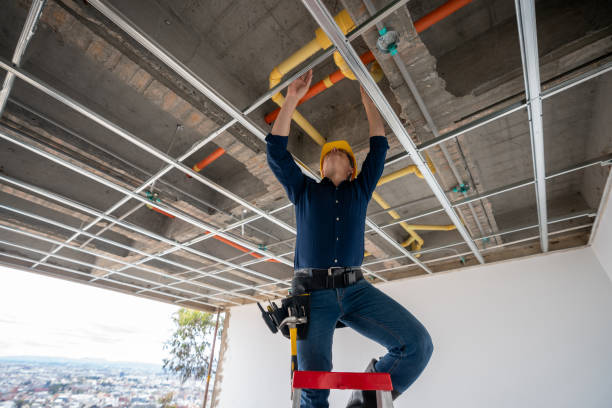 Best Plumbing Inspection Services  in Church Hill, TN